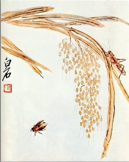 Whisk rice and grasshoppers — Qi Baishi