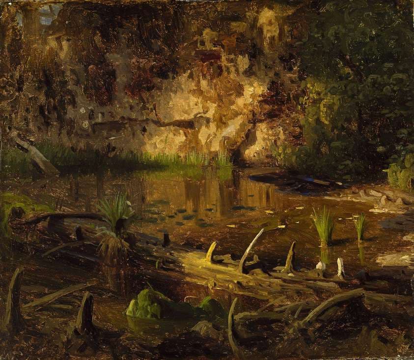 Study of a fallen Tree — August Cappelen