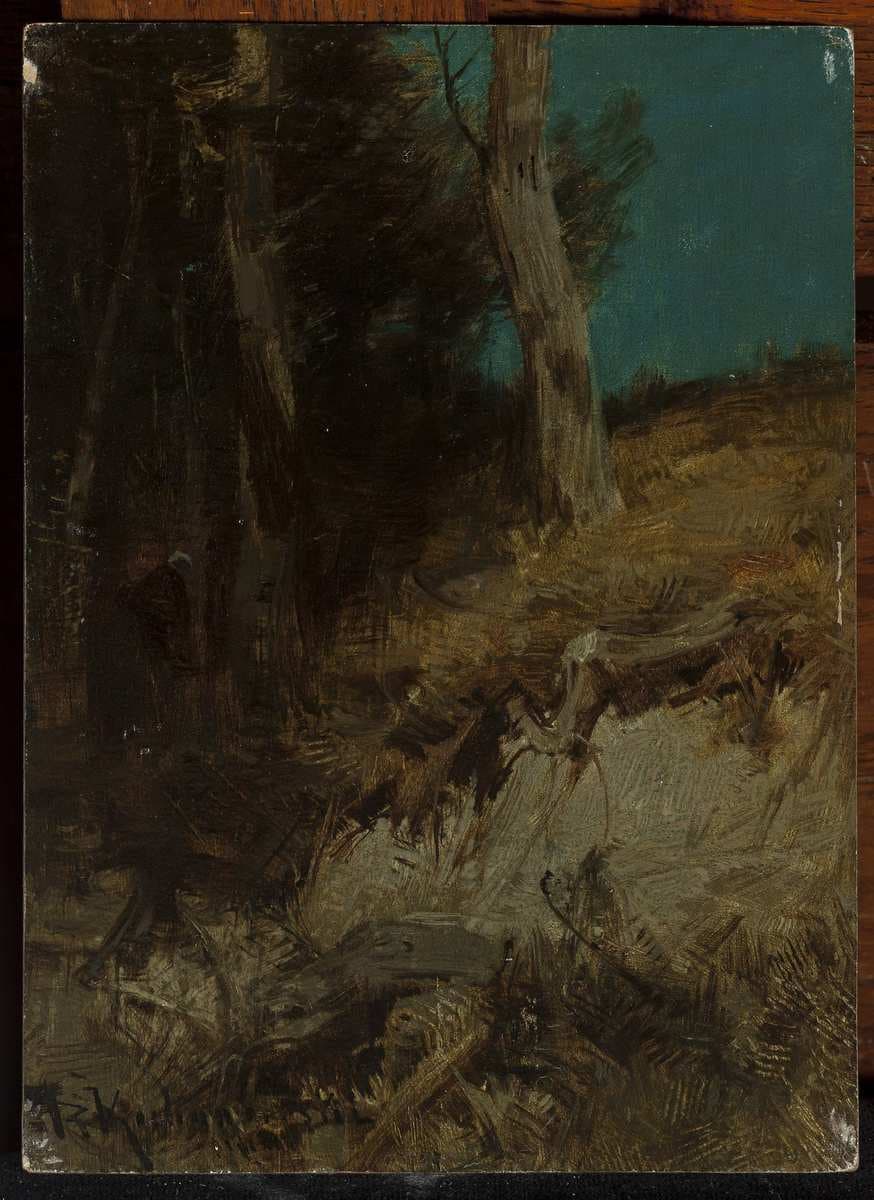 Nocturnal landscape — Roman Kochanowski