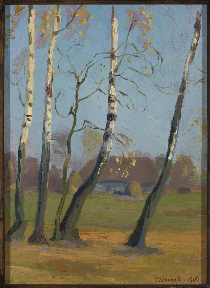 Birch trees near a village — Teodor Ziomek