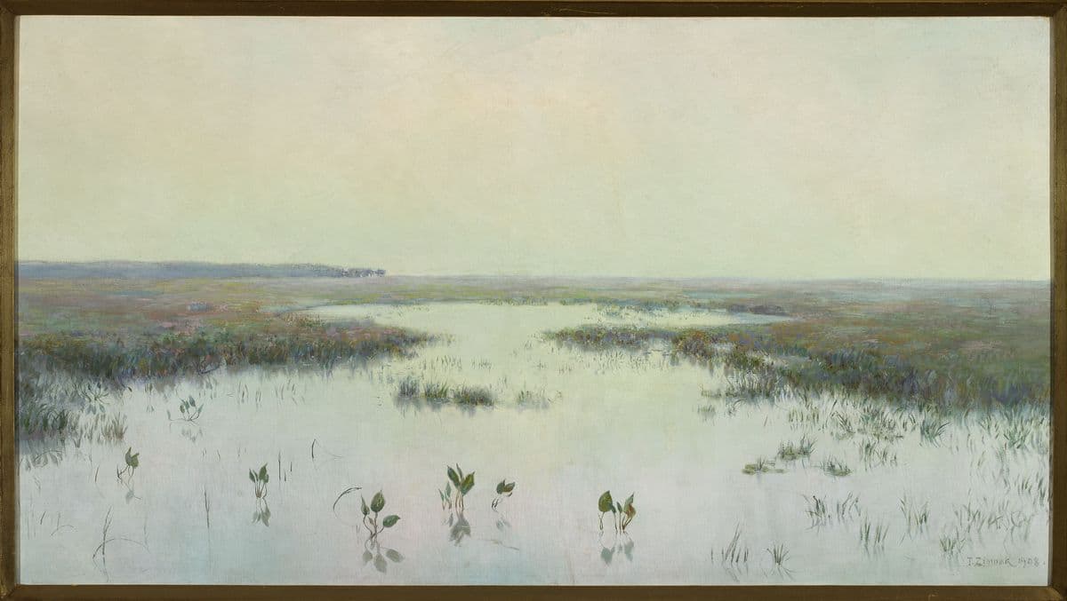 Dawn over water – Marshes — Teodor Ziomek