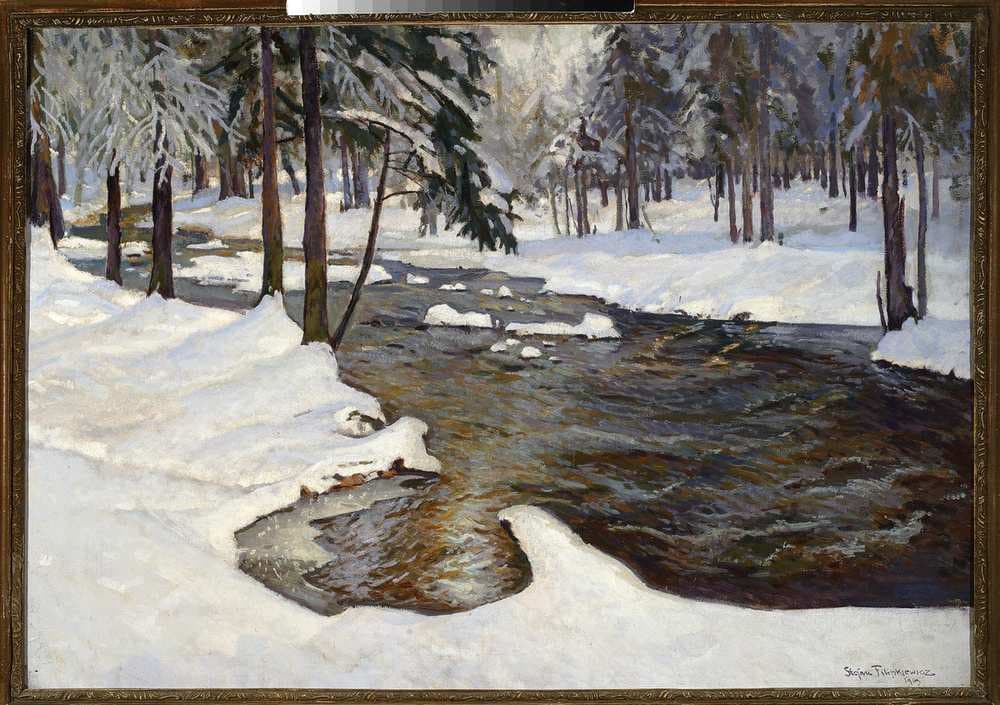 Forest stream in winter — Stefan Filipkiewicz