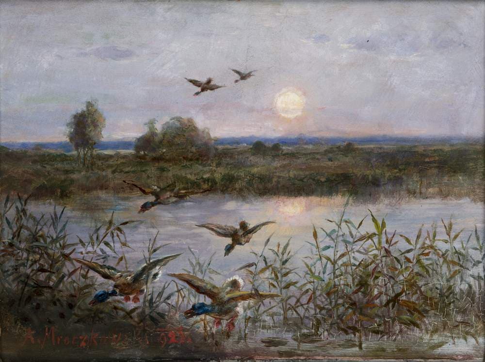 Ducks over Marshes — Aleksander Mroczkowski
