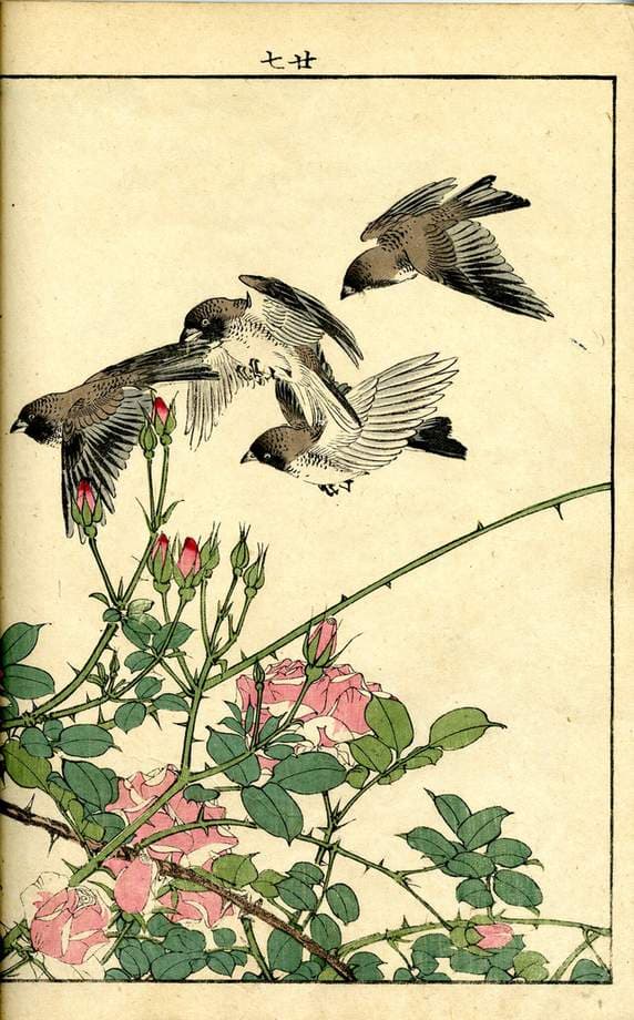 Keinen Kacho Gafu (Picture Album of Flowers and Birds by Keinan) — Imao Keinen