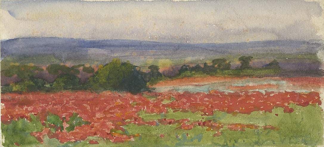 A Poppy Field — Vivian John Cummings