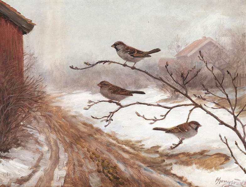 A winter scene with birds — Anders Abrahamsen Kongsrud