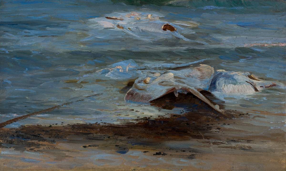 Dead rays — Peder Severin Krøyer