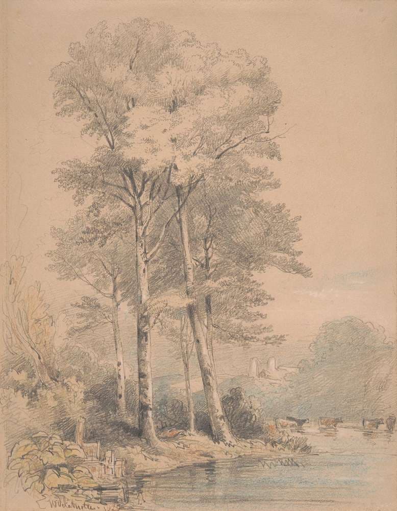 Llandovery Castle, South Wales — William Alfred Delamotte