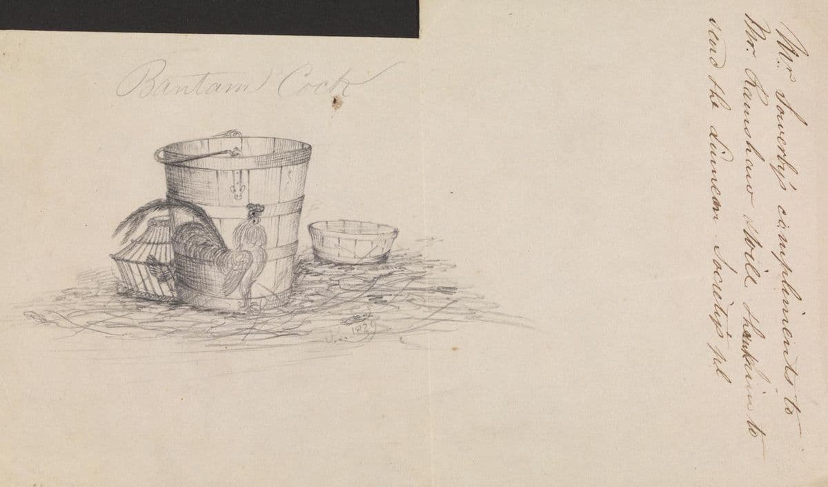 Bantam Cock and Farmpails — James Sowerby