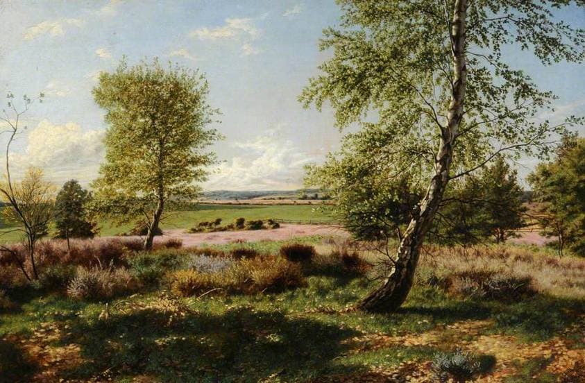 A Study of Birches — Arthur Hill