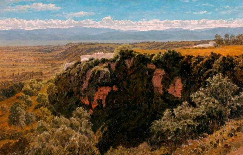 Wooded Cliff near Algiers — Arthur Ditchfield
