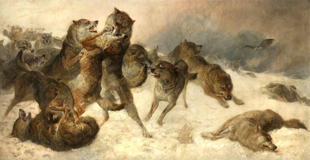 The Struggle for Existence — George Bouverie Goddard