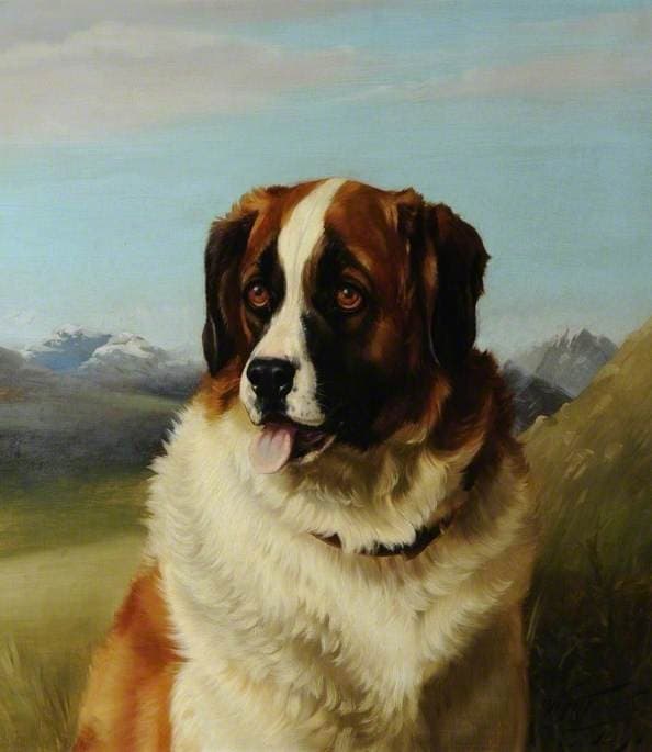 St Bernard Dog — William Henry Hamilton Trood