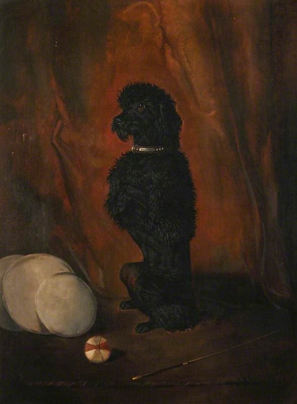 'Poupon' Begging — John Alfred Wheeler