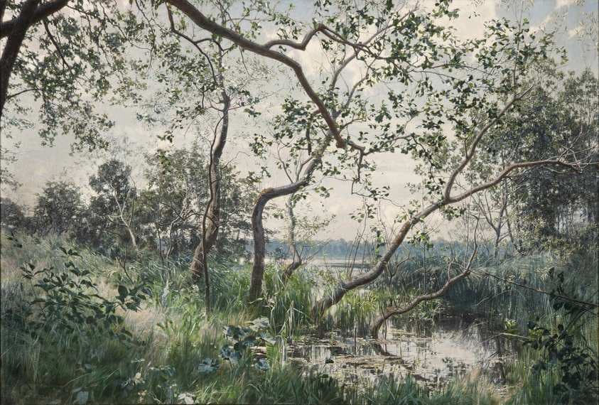 Water Vegetation. Motif from Östergötland — Johan Krouthén
