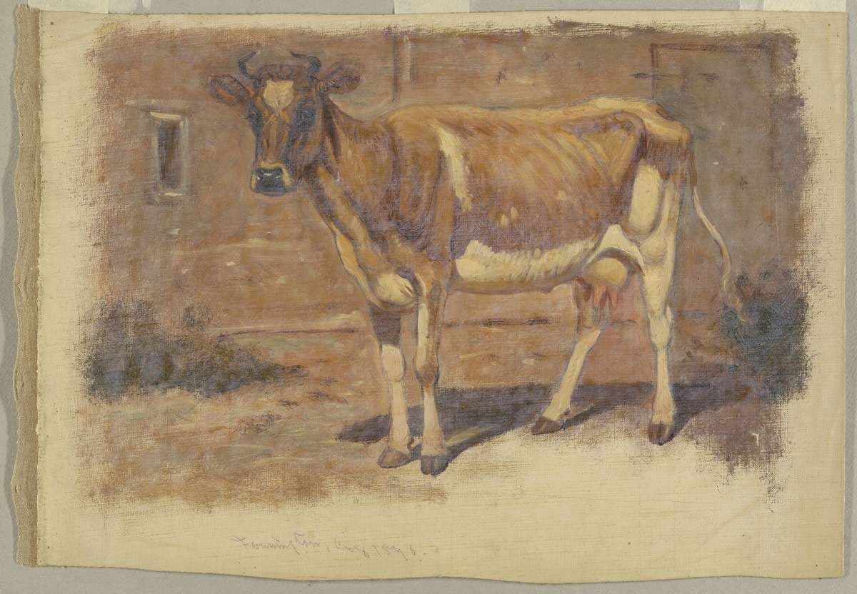 Studies. Cows — Samuel Colman