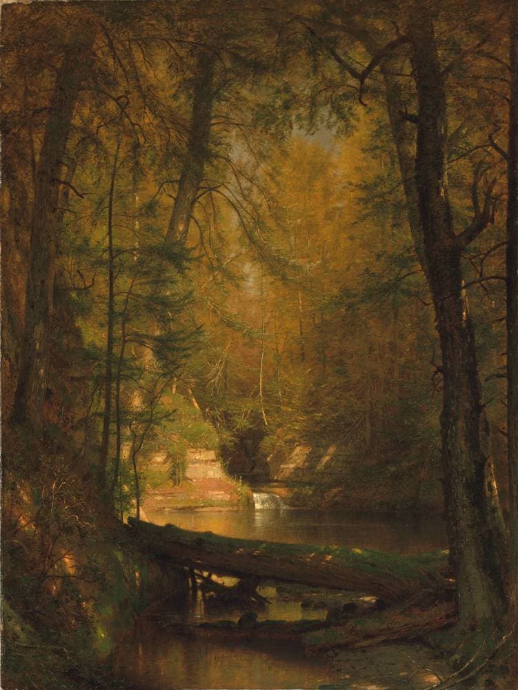The Trout Pool — Worthington Whittredge