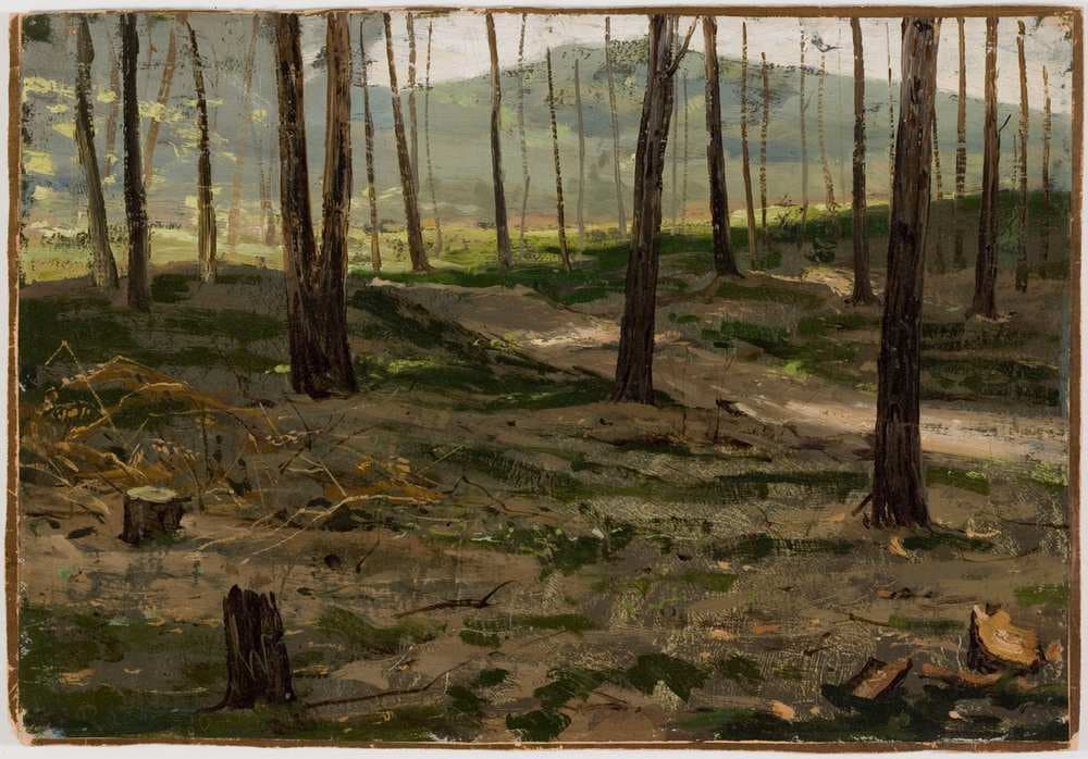 Landscape from Rath — Victor Westerholm