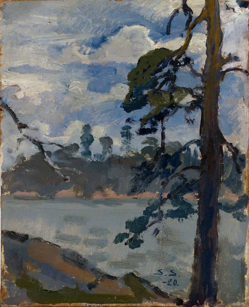 Lake View — Santeri Salokivi