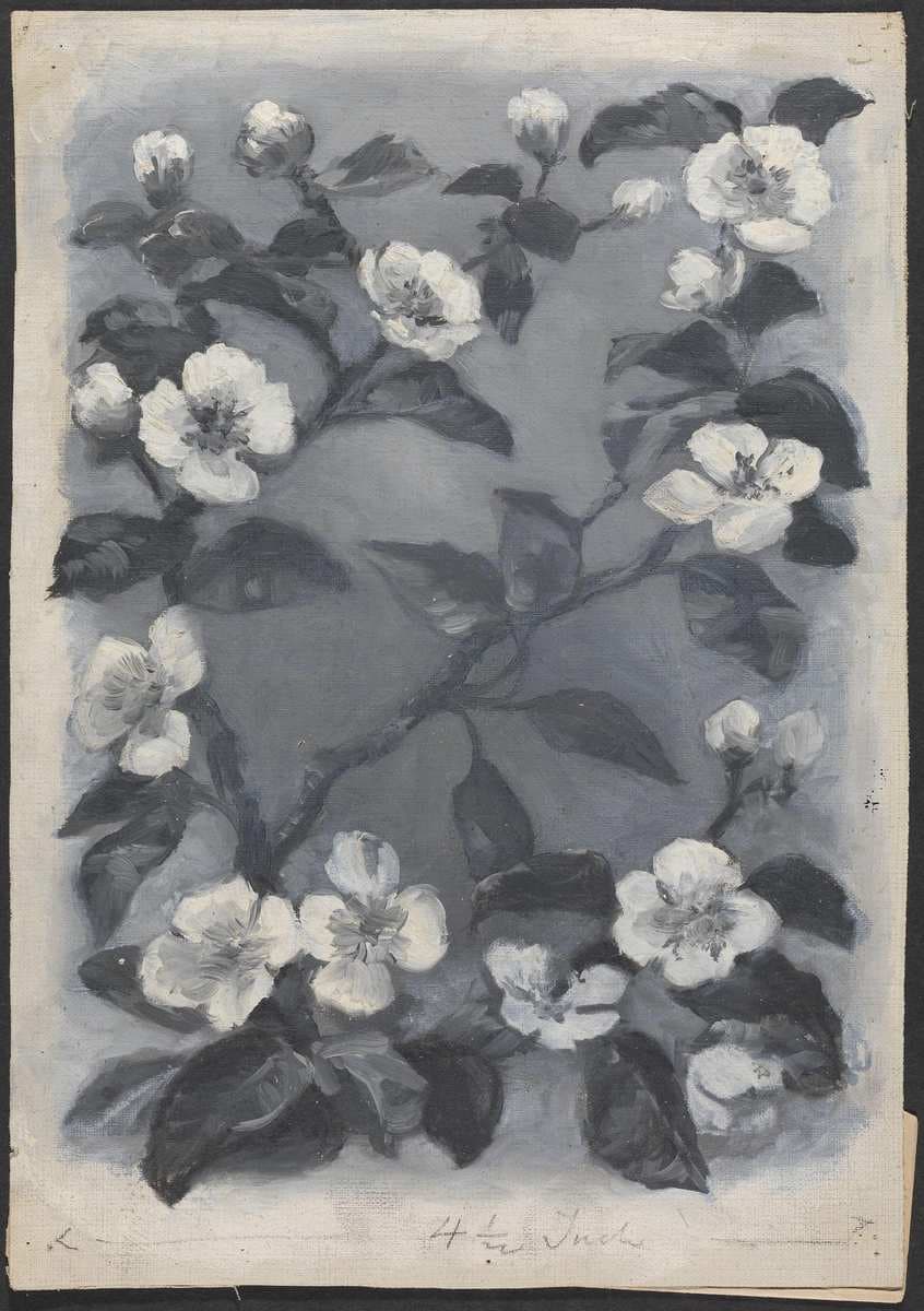 Epleblomster — Wilhelm Peters