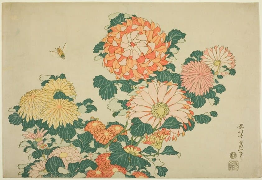 Chrysanthemum and Horsefly, from an untitled series of Large Flowers — Katsushika Hokusai
