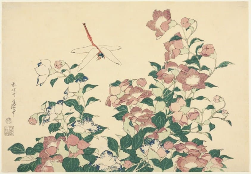 Bell-Flower and Dragonfly, from an untitled series of large flowers — Katsushika Hokusai