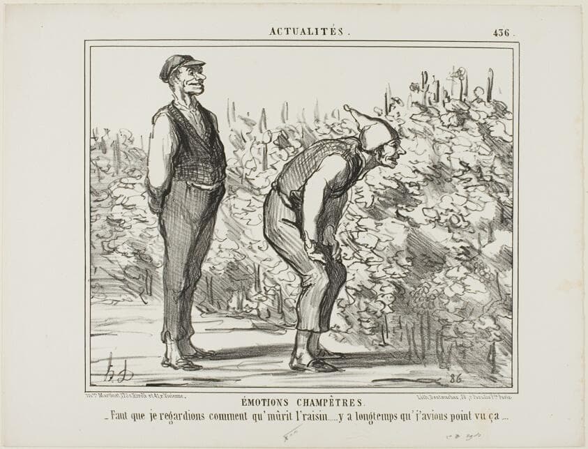 Emotions From the Countryside. “- Have to see how the wine grows… haven't never seen it before…,” plate 436 from Actualités — Honoré Daumier