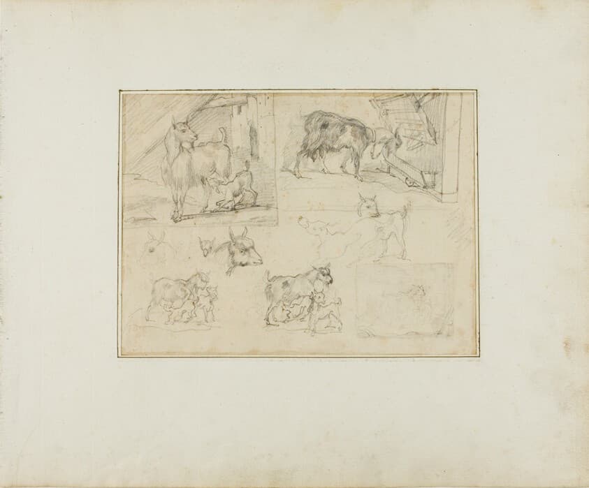 Sketches of Goats — Théodore Géricault
