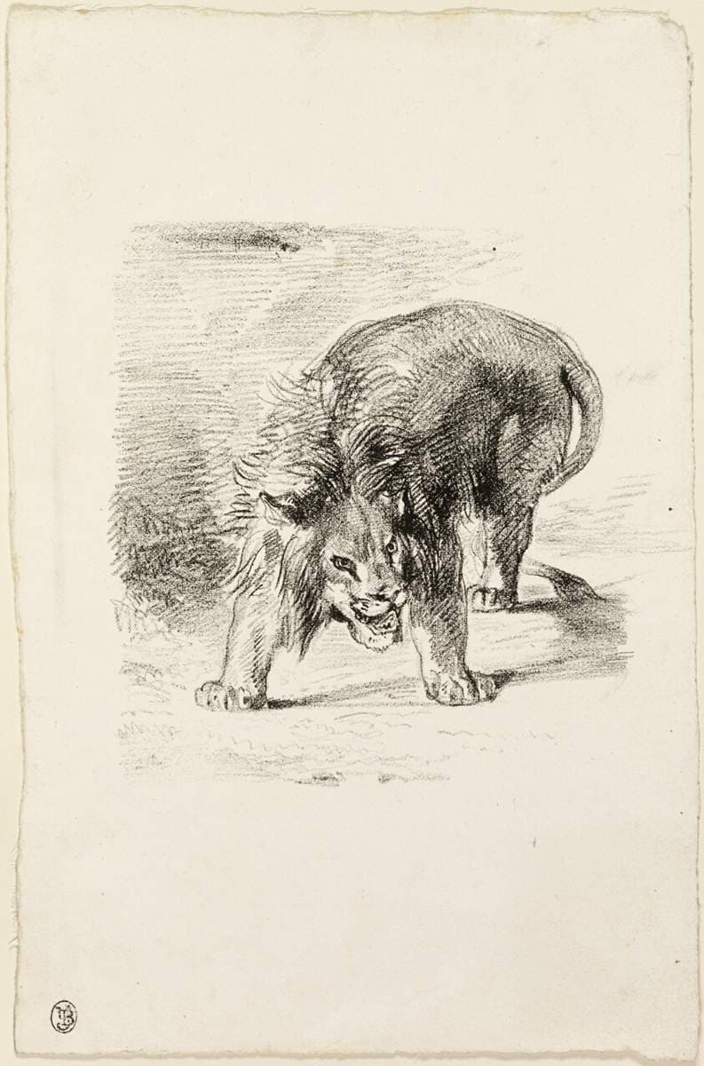 Standing Lion — Eugène Delacroix