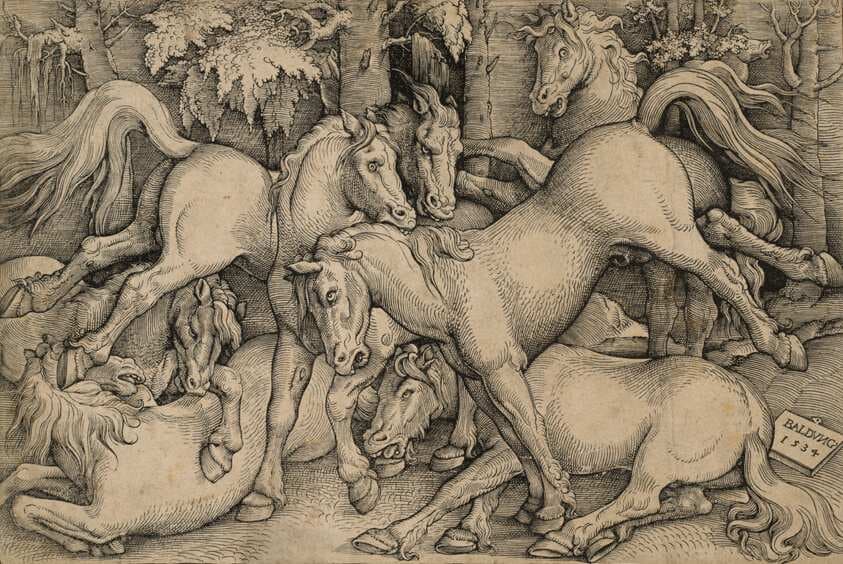 Wild Horses Fighting — Hans Baldung