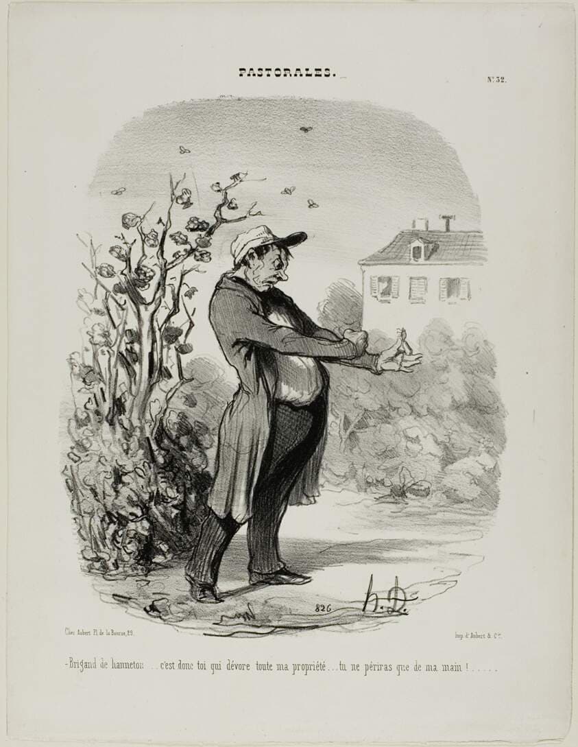 “Brigand of a may-bug... it's you who devours all my property. You shall perish through my hand!,” plate 32 from Pastorales — Honoré Daumier