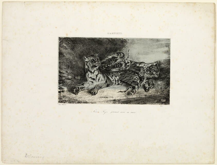 Young Tiger Playing with its Mother — Eugène Delacroix