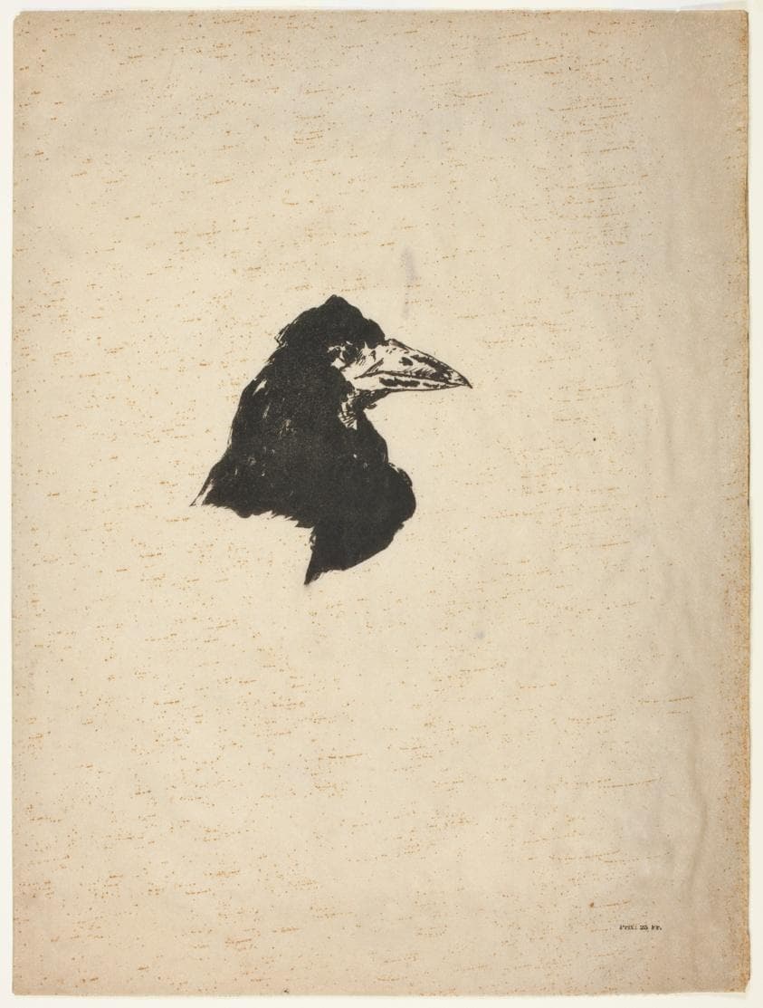 Head of a Raven in Profile, from The Raven (Le Corbeau) — Édouard Manet