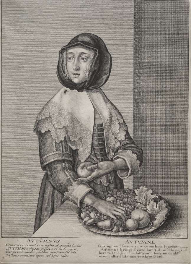 The Four Seasons:  Autumn — Wenceslaus Hollar