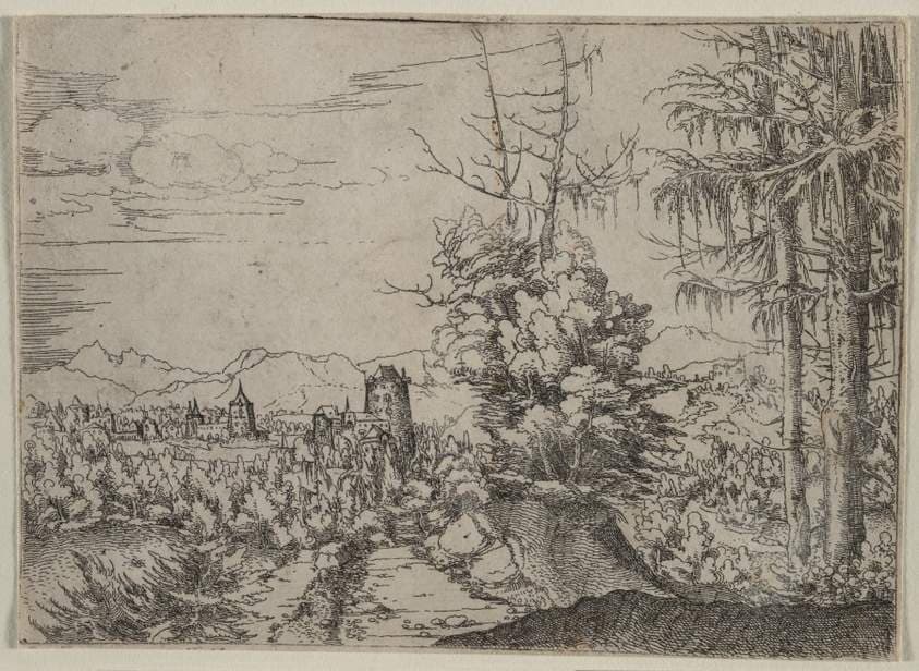 Landscape with Two Pines — Albrecht Altdorfer