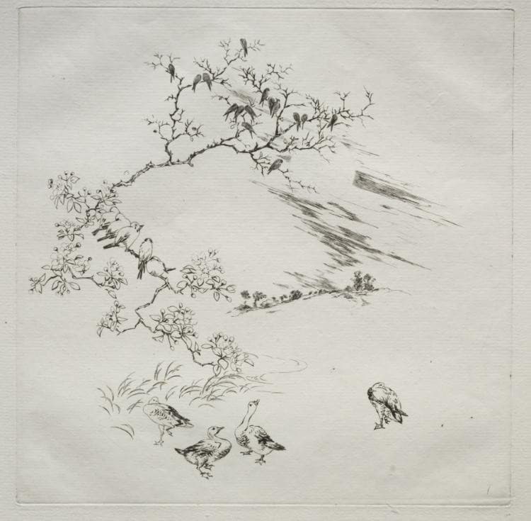 Parisian Service (Haviland service): Night (no. 7) — Félix Bracquemond