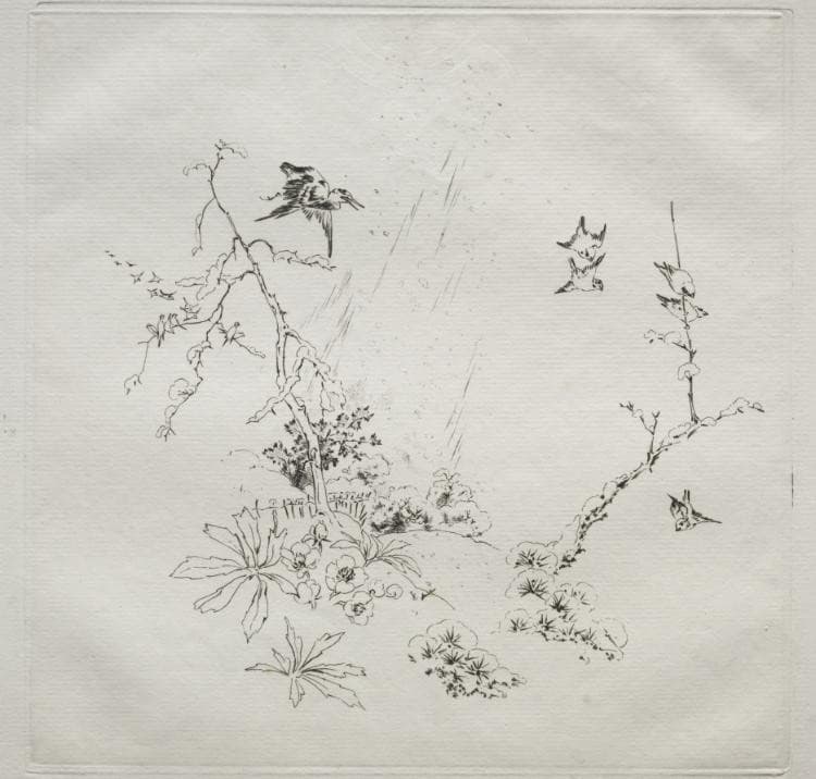 Parisian Service (Haviland service): Snow (no. 6) — Félix Bracquemond