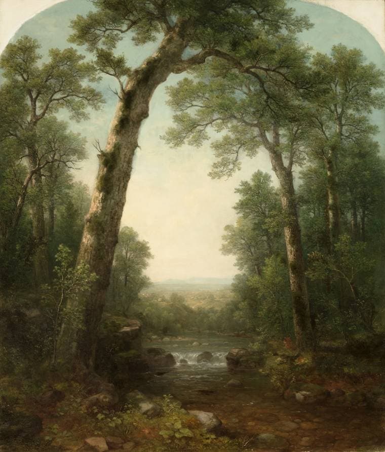 Forest Stream with Vista — Asher Brown Durand