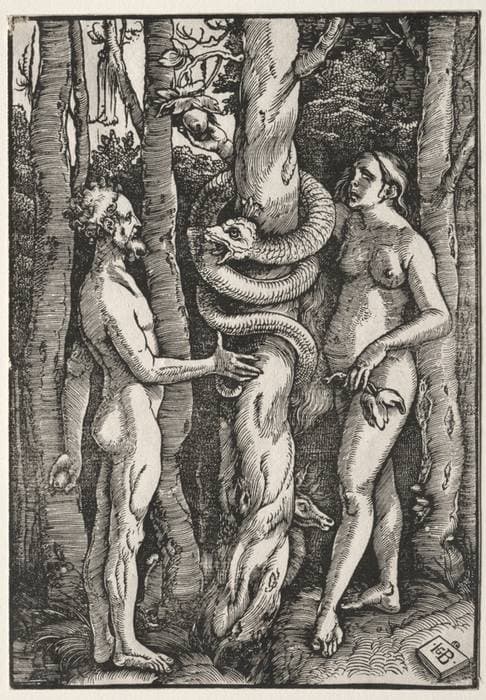 Adam and Eve — Hans Baldung