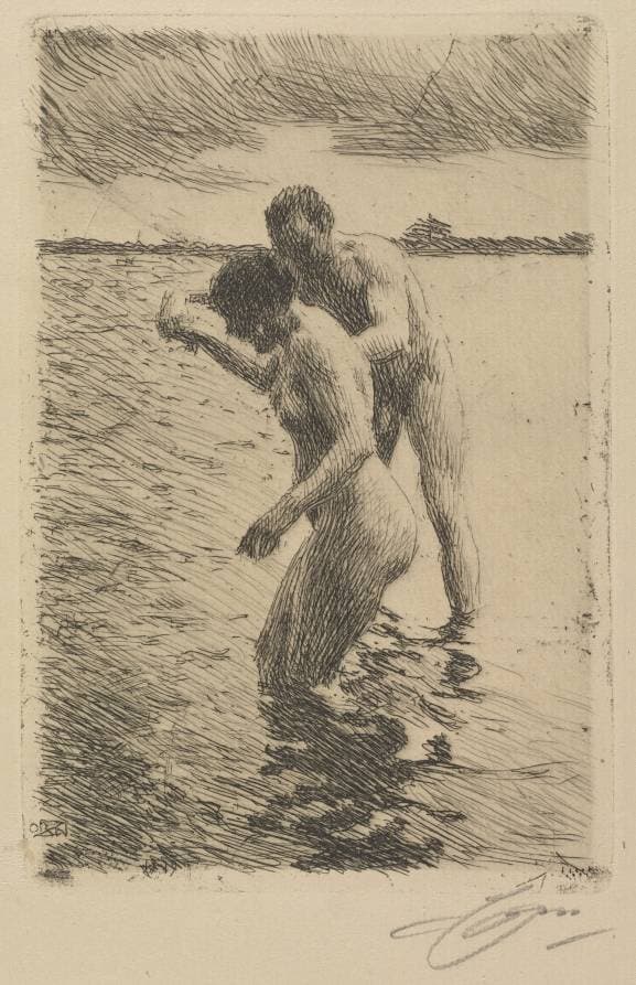 Pilot — Anders Zorn