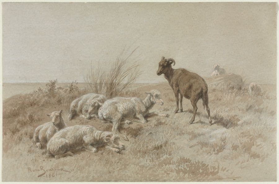 Sheep — Rosa Bonheur