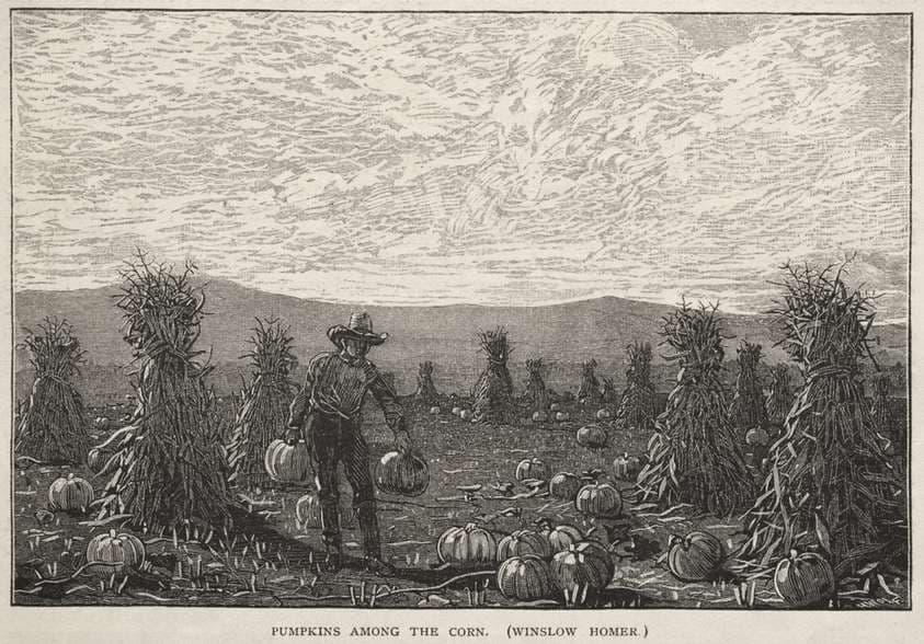 Pumpkins Among the Corn — Winslow Homer