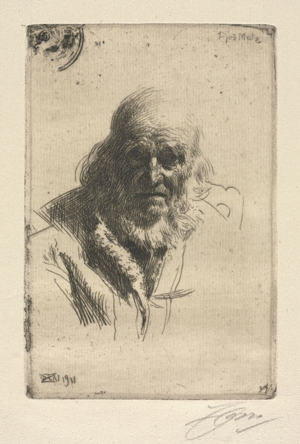 Djos Mats — Anders Zorn