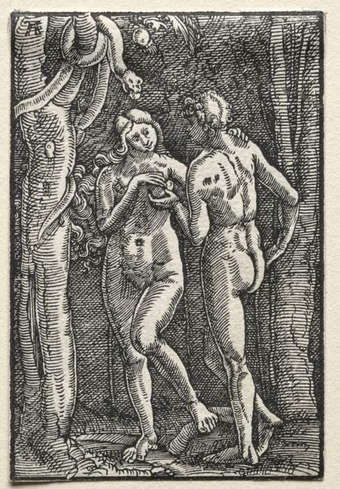 The Fall and Redemption of Man:  Adam and Eve Eating the Forbidden Fruit — Albrecht Altdorfer