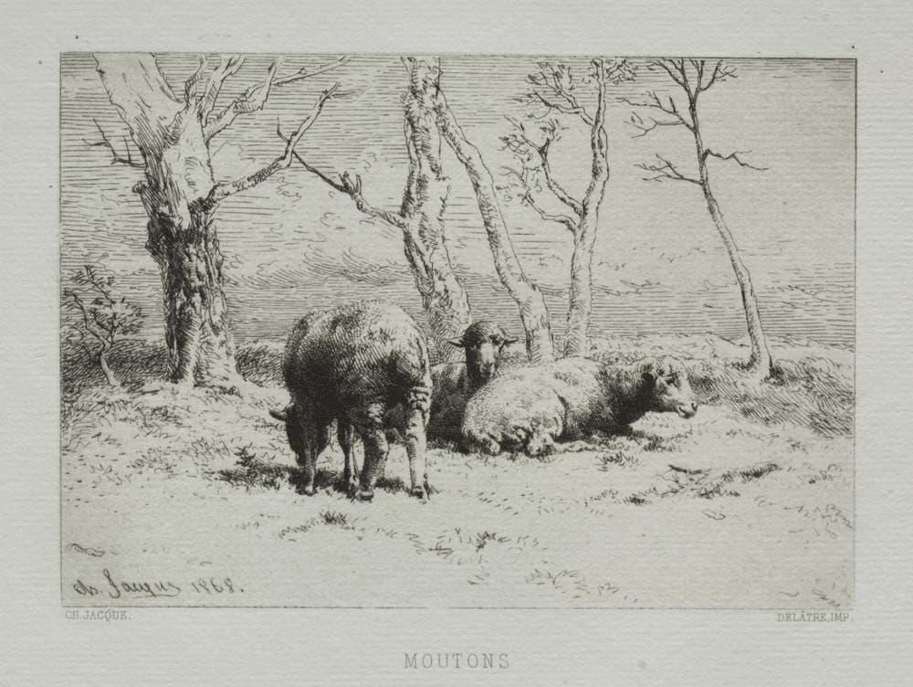 Sheep — Charles Émile Jacque