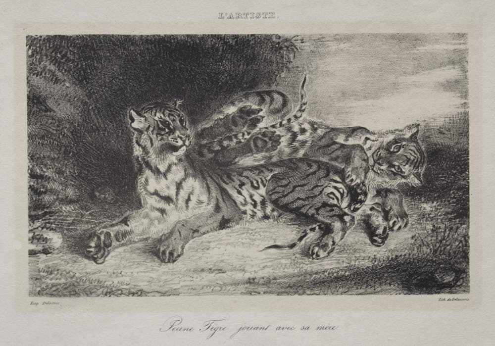 Young Tiger Playing with its Mother — Eugène Delacroix