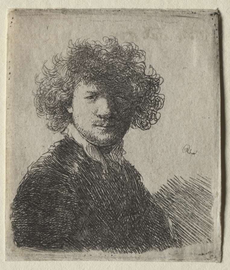 Self-Portrait with curly hair and white collar:  Bust — Rembrandt van Rijn