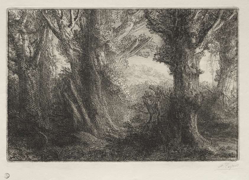 In the Forest at Conteville — Alphonse Legros