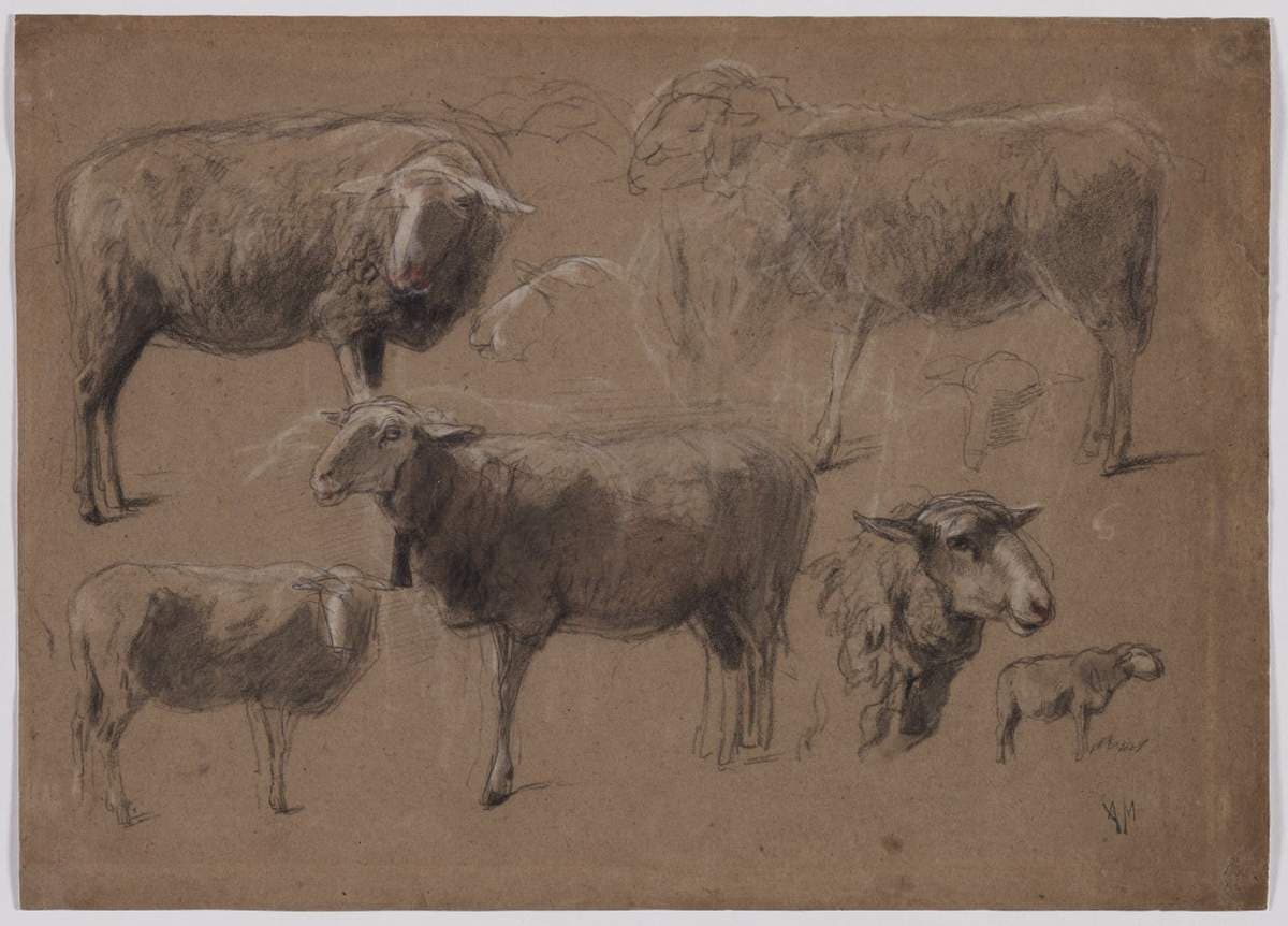 Studies of Sheep — Anton Mauve