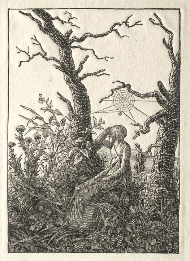 The Woman with the Spider Web between Bare Trees — Caspar David Friedrich